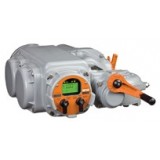 Bettis TEC2000 Actuator 